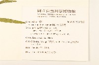 林氏澤蘭藏品圖，第2張