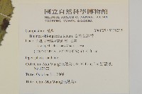 臺灣艾納香藏品圖，第2張