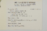 牡蒿藏品圖，第2張