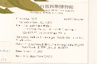 過山龍藏品圖，第2張