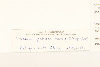 過山龍藏品圖，第3張