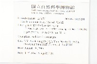 吊鐘藤藏品圖，第2張