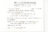 倒吊蓮藏品圖，第2張