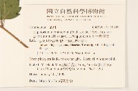 高士佛澤蘭藏品圖，第2張