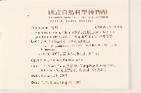 高士佛澤蘭藏品圖，第2張