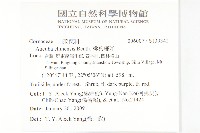 桃葉珊瑚藏品圖，第2張