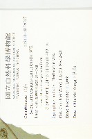 茅瓜藏品圖，第2張