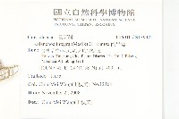 倒吊蓮藏品圖，第2張