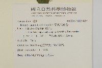 裂葉艾納香藏品圖，第2張