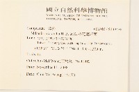 小花蔓澤蘭藏品圖，第2張