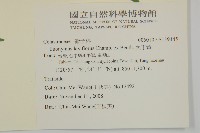 大丁黃藏品圖，第2張