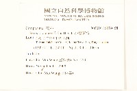 小蔓黃苑藏品圖，第2張