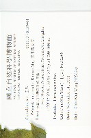 黑果馬交兒藏品圖，第2張