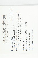 藤胡頹子藏品圖，第2張