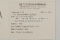 臺灣馬蘭藏品圖，第2張