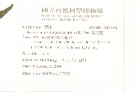 蔓黃菀藏品圖，第2張