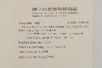 蓬萊油菊藏品圖，第2張