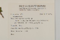 登錄號:S139496藏品圖，第2張