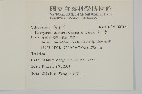 大丁黃藏品圖，第2張