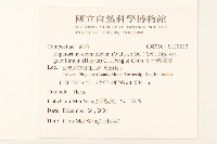 高士佛澤蘭藏品圖，第2張