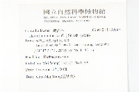 吊鐘藤藏品圖，第2張