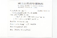 吊鐘藤藏品圖，第2張