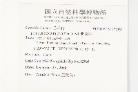 野牽牛藏品圖，第2張