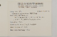 臺灣艾納香藏品圖，第2張