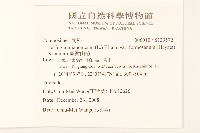 臺灣山菊藏品圖，第2張