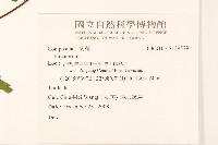 登錄號:S139579藏品圖，第2張