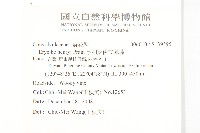 亨利氏伊立基藤藏品圖，第2張