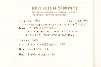 假地膽草藏品圖，第2張