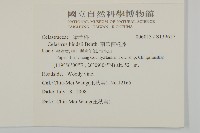 南華南蛇藤，青江藤藏品圖，第2張