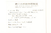 蔓黃菀藏品圖，第2張