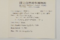 草珊瑚、紅果金粟蘭藏品圖，第2張