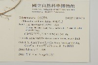 臺灣及己藏品圖，第2張