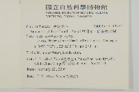 草珊瑚、紅果金粟蘭藏品圖，第2張