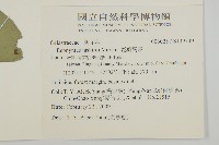 菱葉衛矛藏品圖，第2張