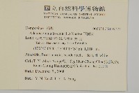 下田菊藏品圖，第2張