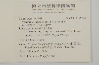 台灣芭蕉藏品圖，第2張