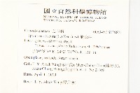 野牽牛藏品圖，第2張