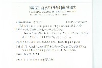 穗花八寶藏品圖，第2張