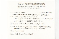 齒葉南芥、齒葉筷子芥藏品圖，第2張