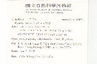 彎果黃菫藏品圖，第2張