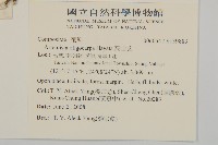 高山艾藏品圖，第2張