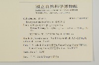 菱葉衛矛藏品圖，第2張