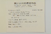 苦皮藤藏品圖，第2張