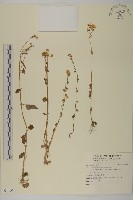 登錄號:S140018藏品圖，第1張