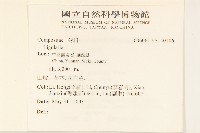 臺灣款冬藏品圖，第2張