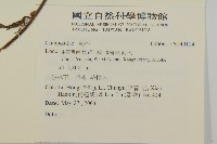 登錄號:S140124藏品圖，第2張